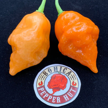 Habanada - Seeds - The Pepper Pantry (Formerly Marie Sharp's)